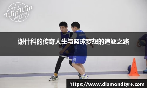 谢什科的传奇人生与篮球梦想的追逐之路