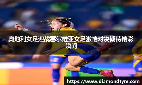 jbo竞博电竞
